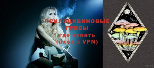 МДПВ Алзамай