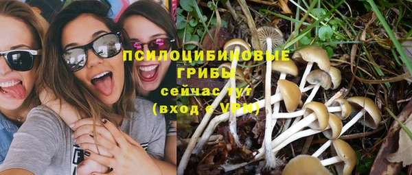 МДПВ Алзамай