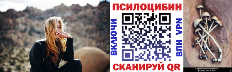 хочу наркоту Чёрмоз Псилоцибиновые грибы Magic Shrooms